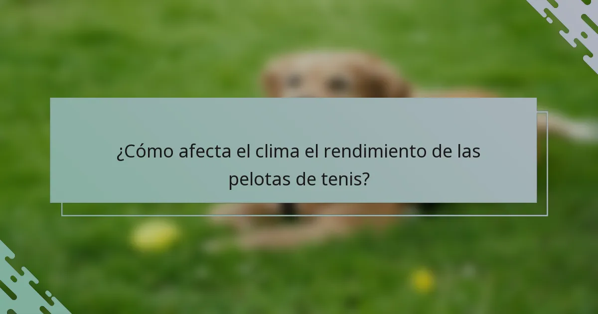 ¿Cómo afecta el clima el rendimiento de las pelotas de tenis?