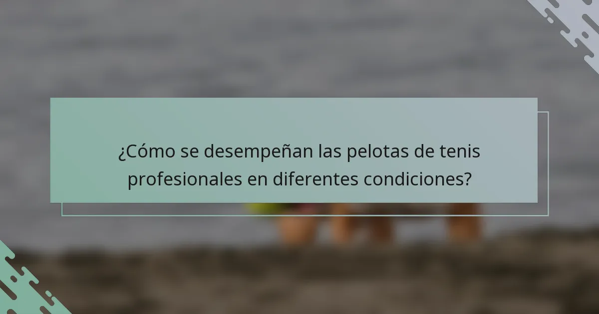 ¿Cómo se desempeñan las pelotas de tenis profesionales en diferentes condiciones?