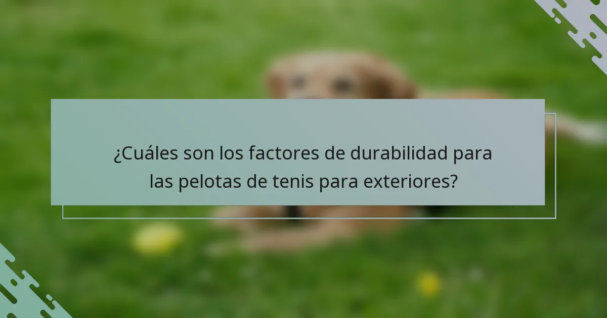 ¿Cuáles son los factores de durabilidad para las pelotas de tenis para exteriores?