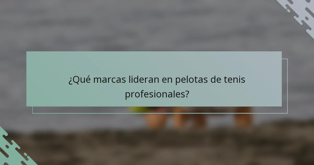 ¿Qué marcas lideran en pelotas de tenis profesionales?