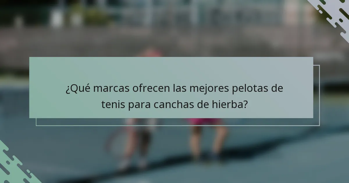 ¿Qué marcas ofrecen las mejores pelotas de tenis para canchas de hierba?