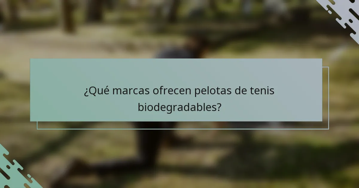 ¿Qué marcas ofrecen pelotas de tenis biodegradables?