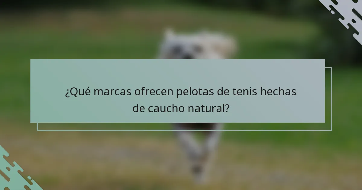 ¿Qué marcas ofrecen pelotas de tenis hechas de caucho natural?