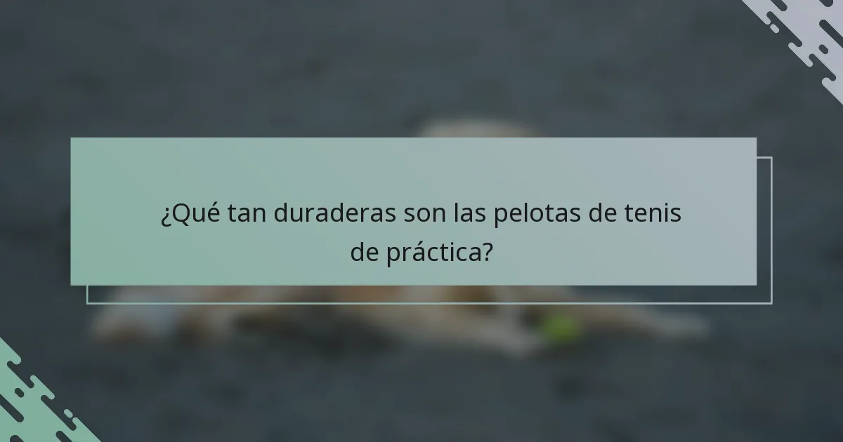 ¿Qué tan duraderas son las pelotas de tenis de práctica?