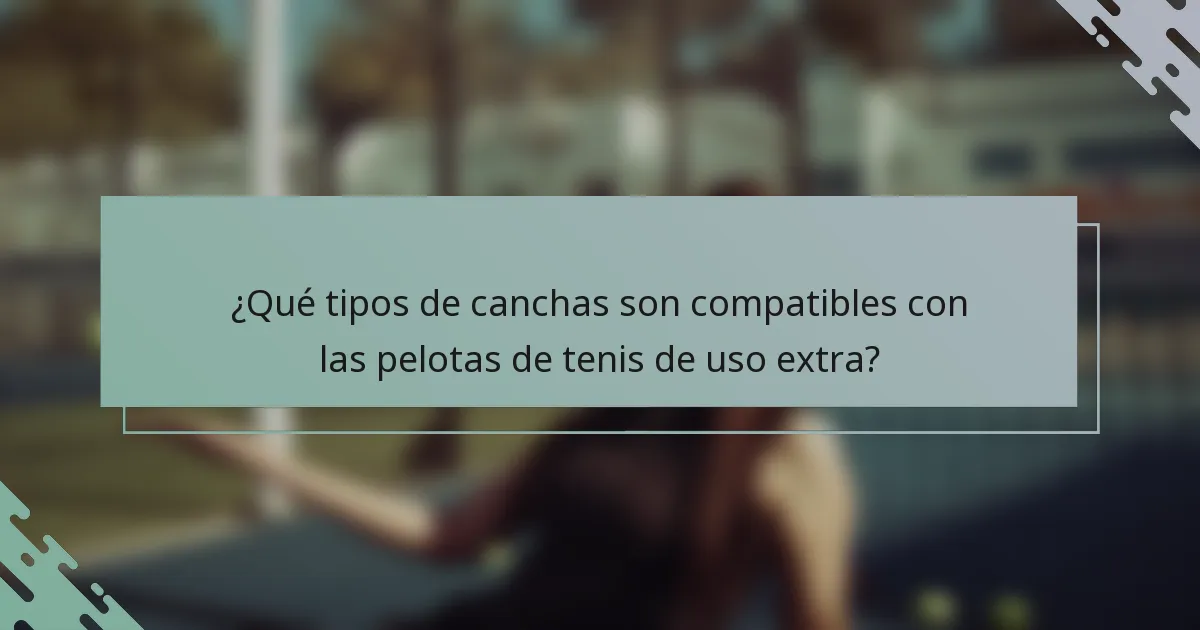 ¿Qué tipos de canchas son compatibles con las pelotas de tenis de uso extra?